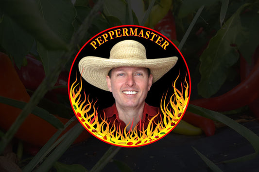 Peppermaster 10th Anniversary & Festival des Couleurs