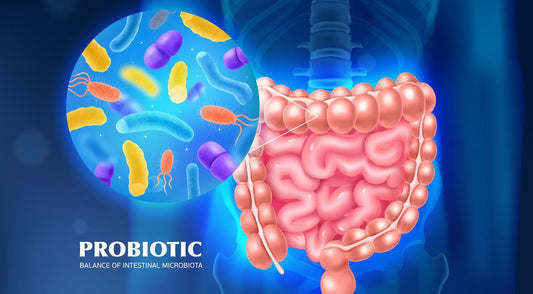 What Are Probiotics and Why Do They Matter?